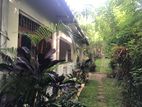 House with Land for Sale in Digana