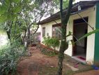 House With Land For Sale In Horana, Poruwadanda