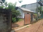 House With Land For Sale in Kadawatha
