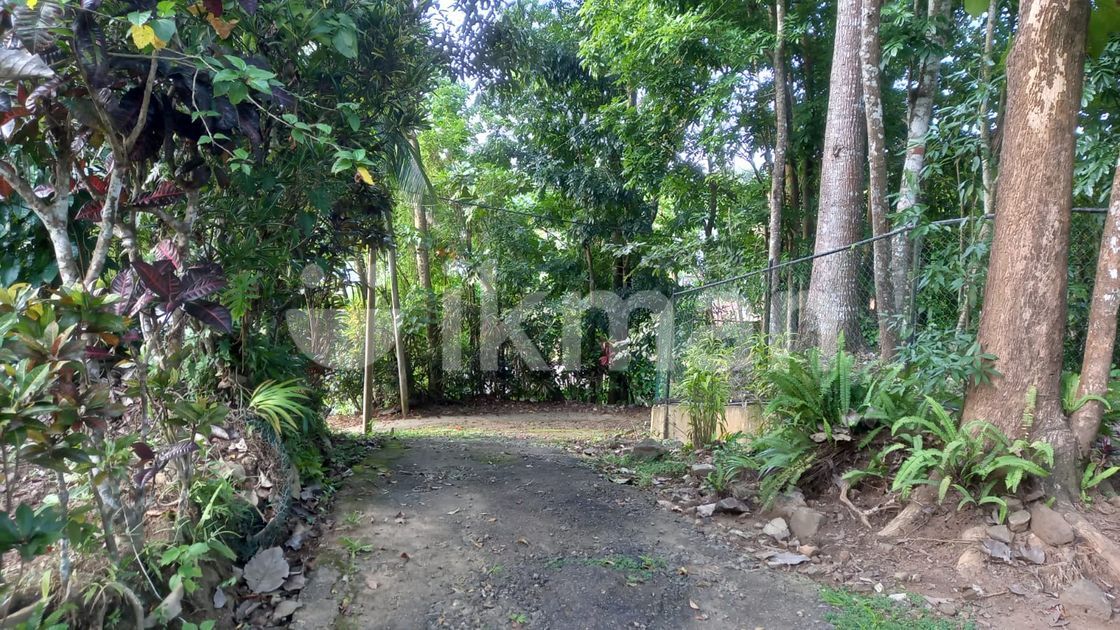 House with Land For Sale In Katugastota ikman