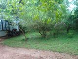 House with Land for Sale in Nildiyauyana, Matale