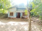 House with land for sale in Peradeniya