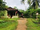 House with Land for Sale in Tangalle (Witharandeniya)