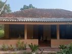Land with House Thirunagar