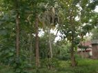 House with Land for Sale - කුරුණෑගල