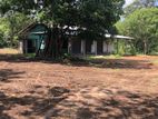 House With Land For Sale - Maradankadawala