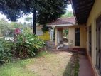 House with Land for Sale Narammala