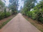 House with Land for Sale Negombo