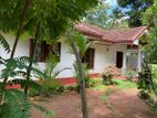 House with Large Garden Land for Sale in Negombo