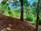 House with Scenic Land for Sale Balangoda