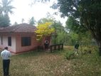 House with Spacious Land for Sale in Niwandama, Ja‑ela