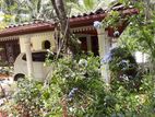 House with Tea Land Kalupahana