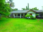 House with valuable land for sale in Panadura