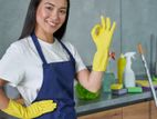 Housemaid Service ( daily / staying )
