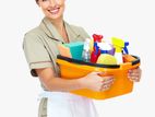 Housemaids Daily /staing