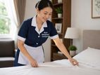 Housemaids ( Male / Female )