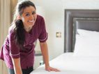 Housemaids Service ( Daily / Staying )