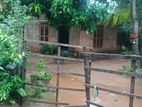 House for Sale in Polonnaruwa