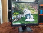 HP 19" Monitor