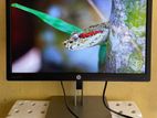 HP 22' Inch IPS LCD Monitor