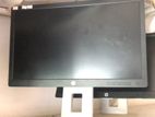 HP 22” Ips HDMI Monitor
