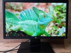 HP 22' IPS Webcam LED Monitor