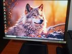 HP 22inch Wide Lcd Monitor