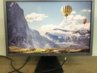 HP 24" IPS LED E241 Monitors (DP+DVI)