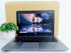 HP Core i7 5th Gen 4GB RAM 256GB SSD Professional Laptop