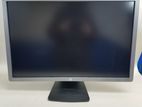 HP- E241 /IPS / FullHD 24"/ Gaming /Wide Screen/ LED Moniter