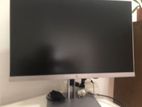 HP E243 24" Monitor