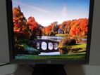 HP Elite Display E190i 19 Inch Monitor