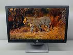 HP EliteDisplay E202 USED HD+ IPS MONITOR 20"
