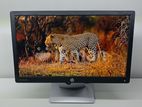 HP EliteDisplay E202 USED HD+ IPS MONITOR 20"