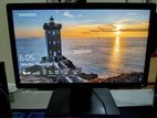 HP Elite Display Monitor