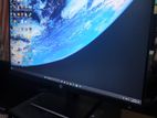 Hp 24 Inch Monitor