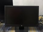 Hp Monitor