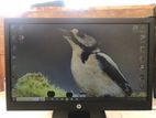 Hp Monitors 19"Led