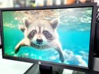 Hp P204 20" Inch Hd Hdmi Monitor