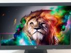HP Pro Display P232 23 INCH Monitor