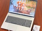 HP Probook 450 G10 i7 13th GEN Laptop