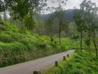 හපුතලේ ඉදල්ගස්හින්න ආයොජනයට හා පදිංචියට සුපිරි බිම්කොටස් විකිණීමට ඩී