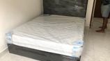 HQ Cushion Devan Bed And Spring Mattresses .6*5 Ft.