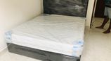 HQ Cushion Devan Bed And Spring Mattresses .6*5 Ft.