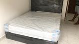 HQ Cushion Devan Bed And Spring Mattresses .6*5 Ft.