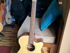 HSH Acoustic Guitar