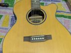 HSH Guitar