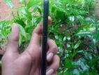 Huawei P20 Pro (Used)