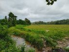 Huge paddy field blocks for Sale in Athurugiriya