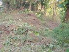 Land for Sale in Koswatta